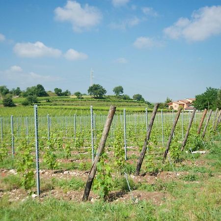 Agriturismo Albarello Сона Экстерьер фото