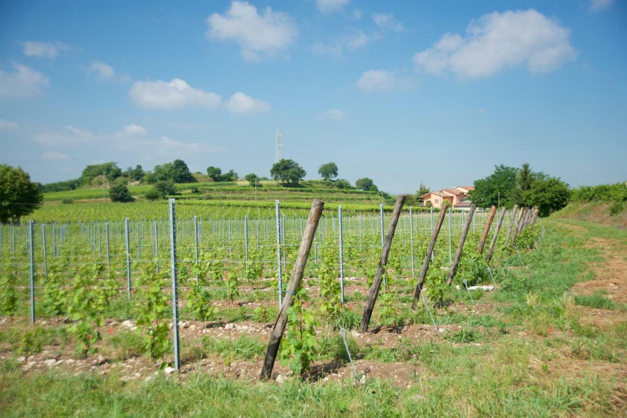Agriturismo Albarello Сона Экстерьер фото