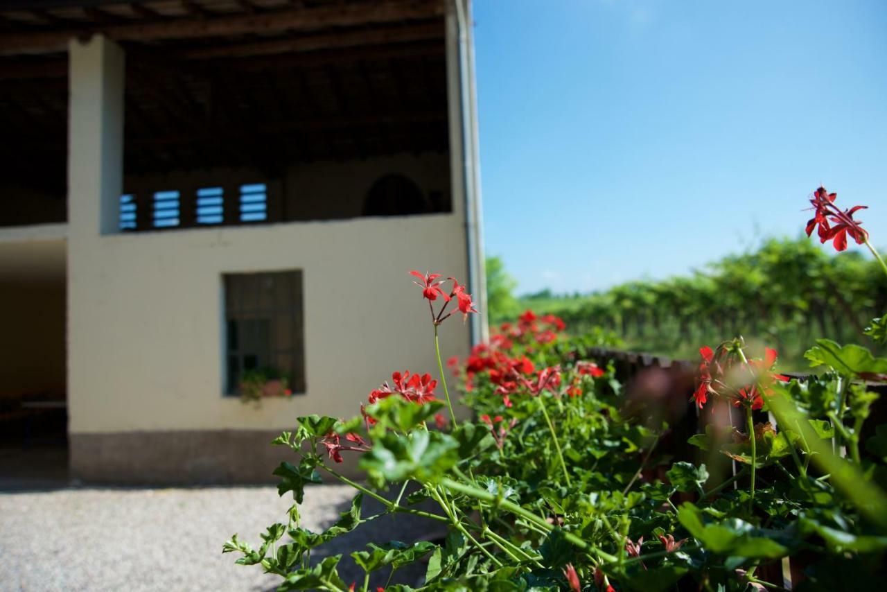 Agriturismo Albarello Сона Экстерьер фото