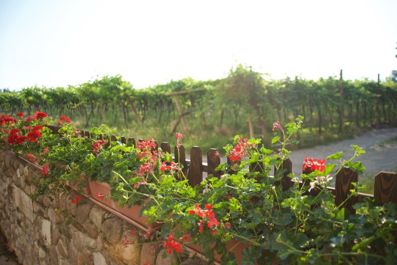 Agriturismo Albarello Сона Экстерьер фото